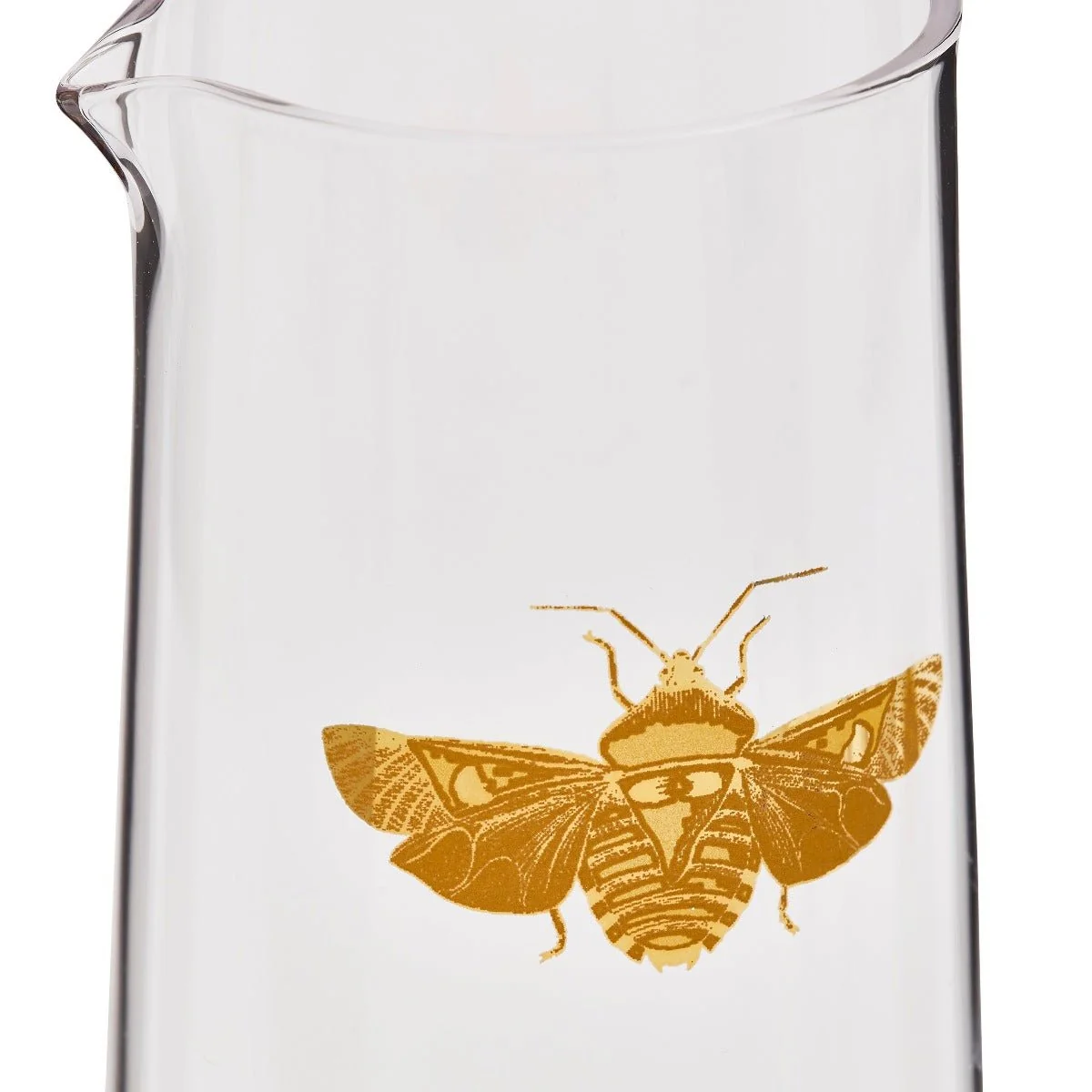 Creatures of Curiosity Carafe with Tumbler - Image 4
