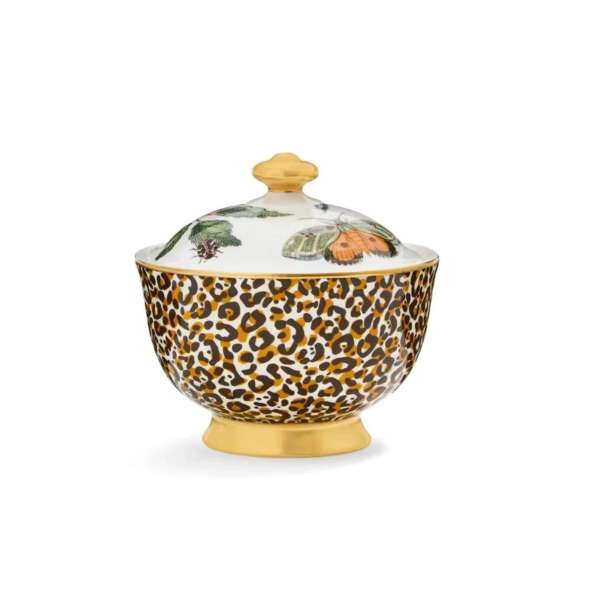 Creatures of Curiosity - Sugar Bowl - Image 3