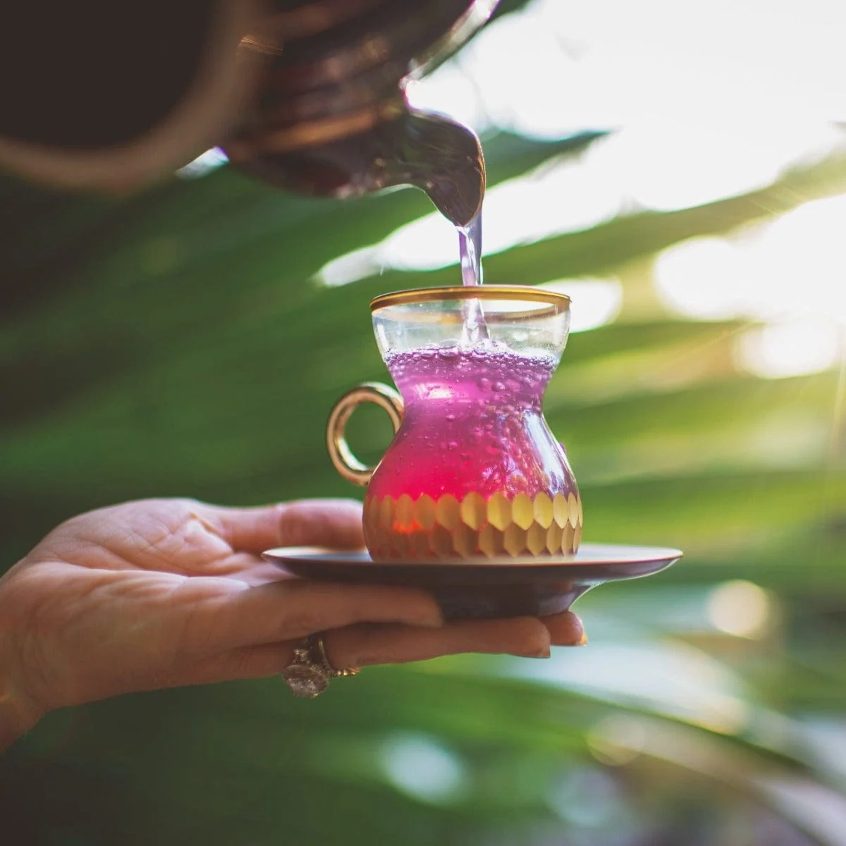 Pink Tourmaline: Organic Dragon Fruit Hibiscus White Tea Case Packs - Image 5