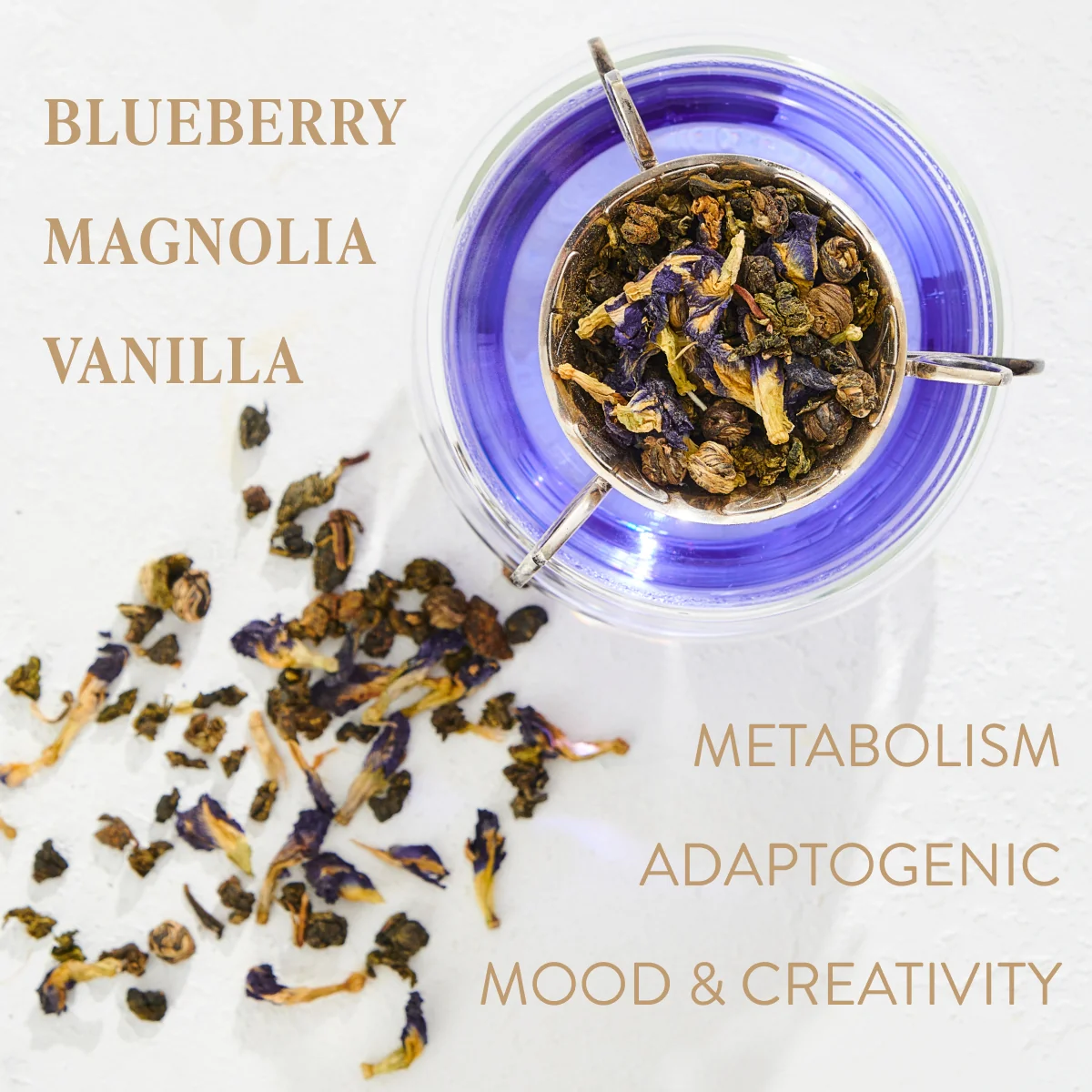 Pisces: Magnolia-Jasmine Blueberries & Cream Tea with Lion's Mane - Image 2