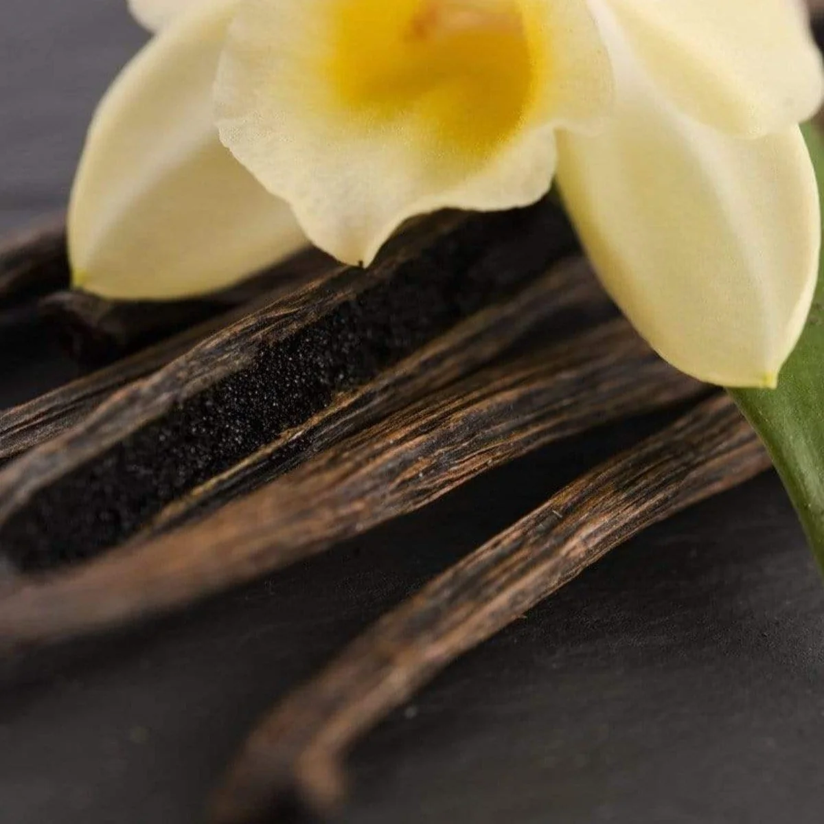 Vanilla Earl Grey: Tea for the Lushness of Life - Image 5